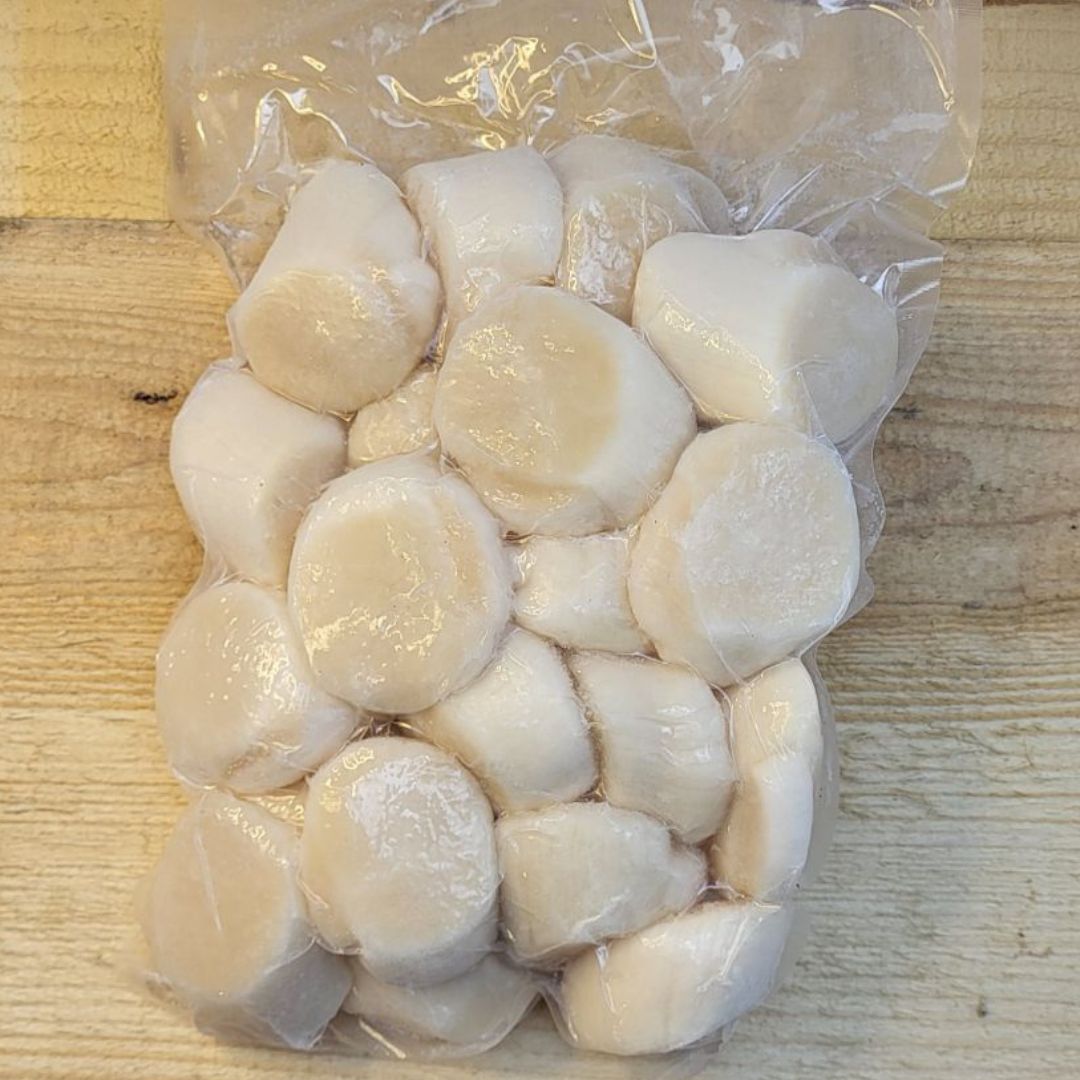 Scallops